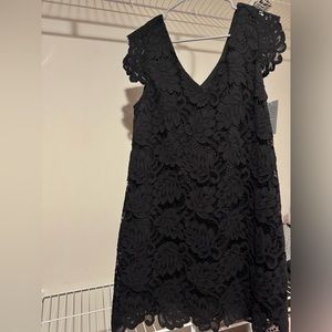 Black lace, BB Dakota Dress from Nordstrom
